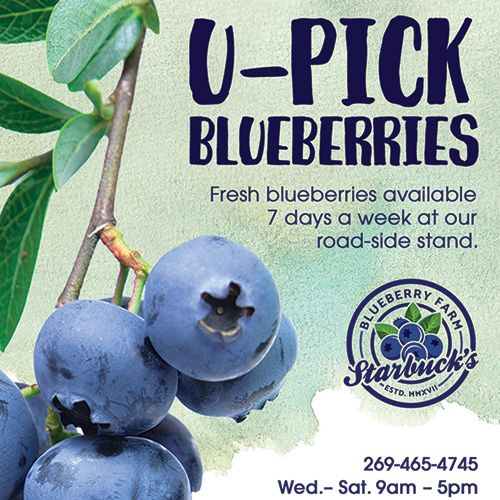 starbucks blueberry-ad-SM